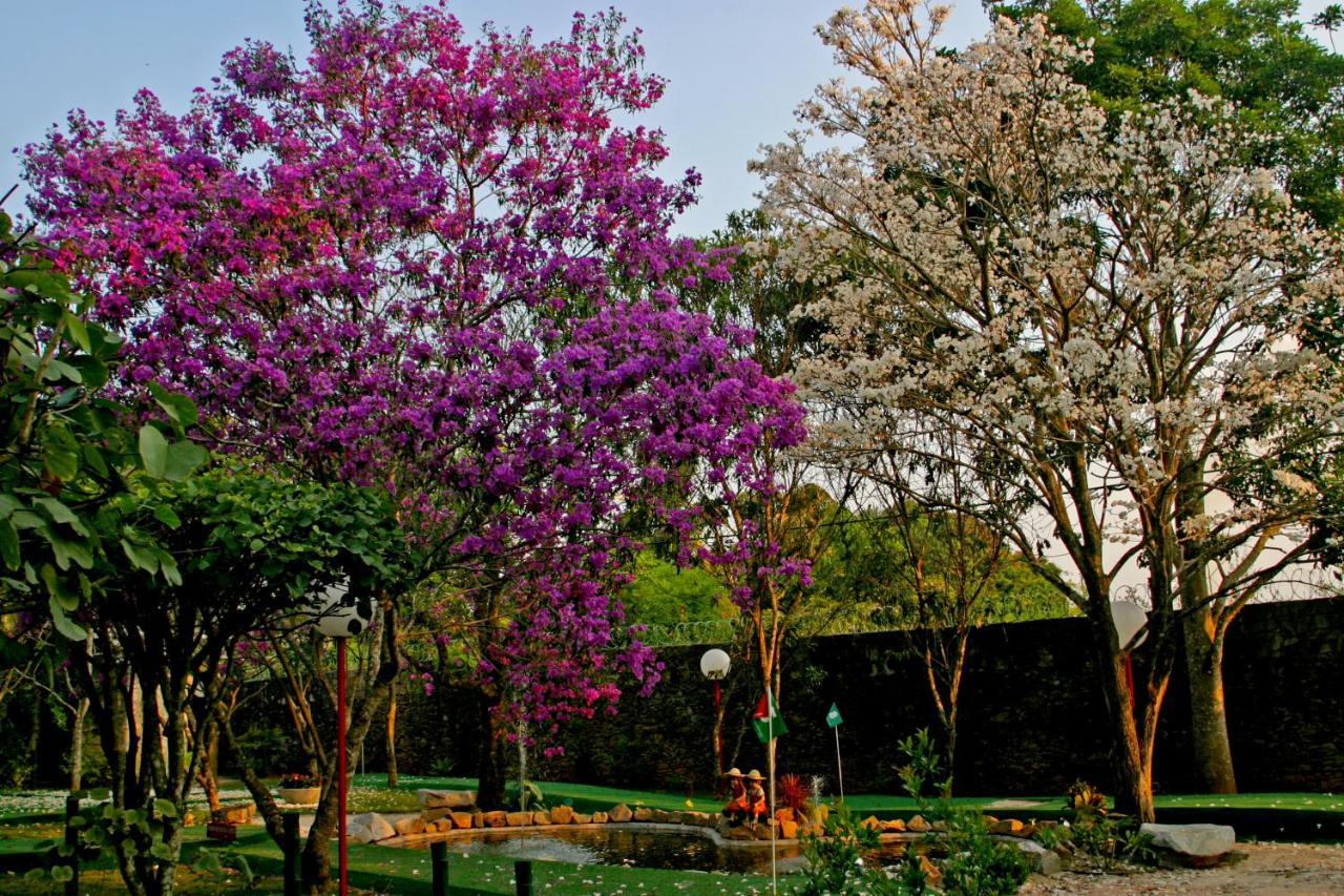 Villa Buonabitacolo São João del Rei Dış mekan fotoğraf