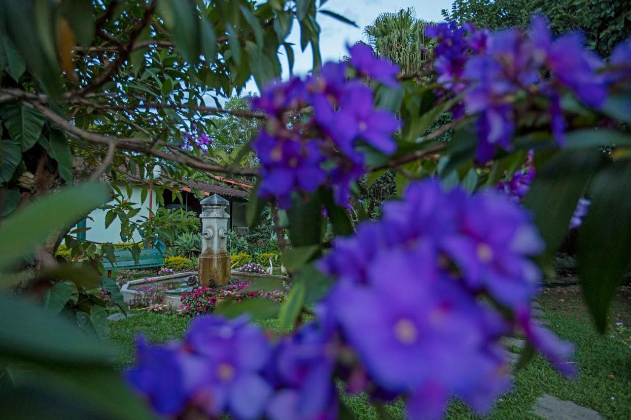 Villa Buonabitacolo São João del Rei Dış mekan fotoğraf